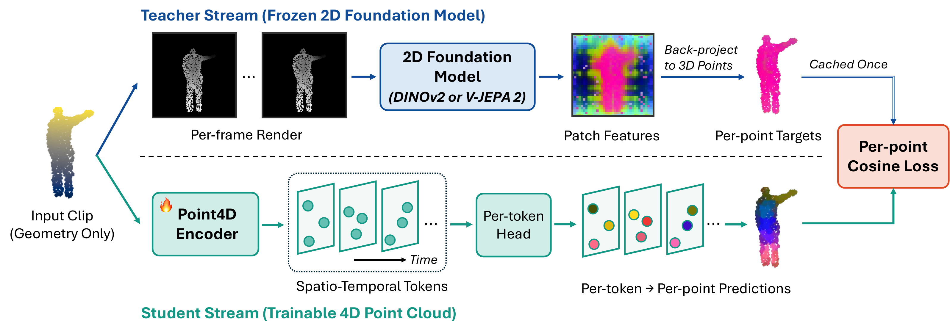 Cross4D-JEPA architecture: a frozen 2D foundation model on per-frame renders produces per-point targets, cached once; the Point4D student predicts them per token with a cosine loss.