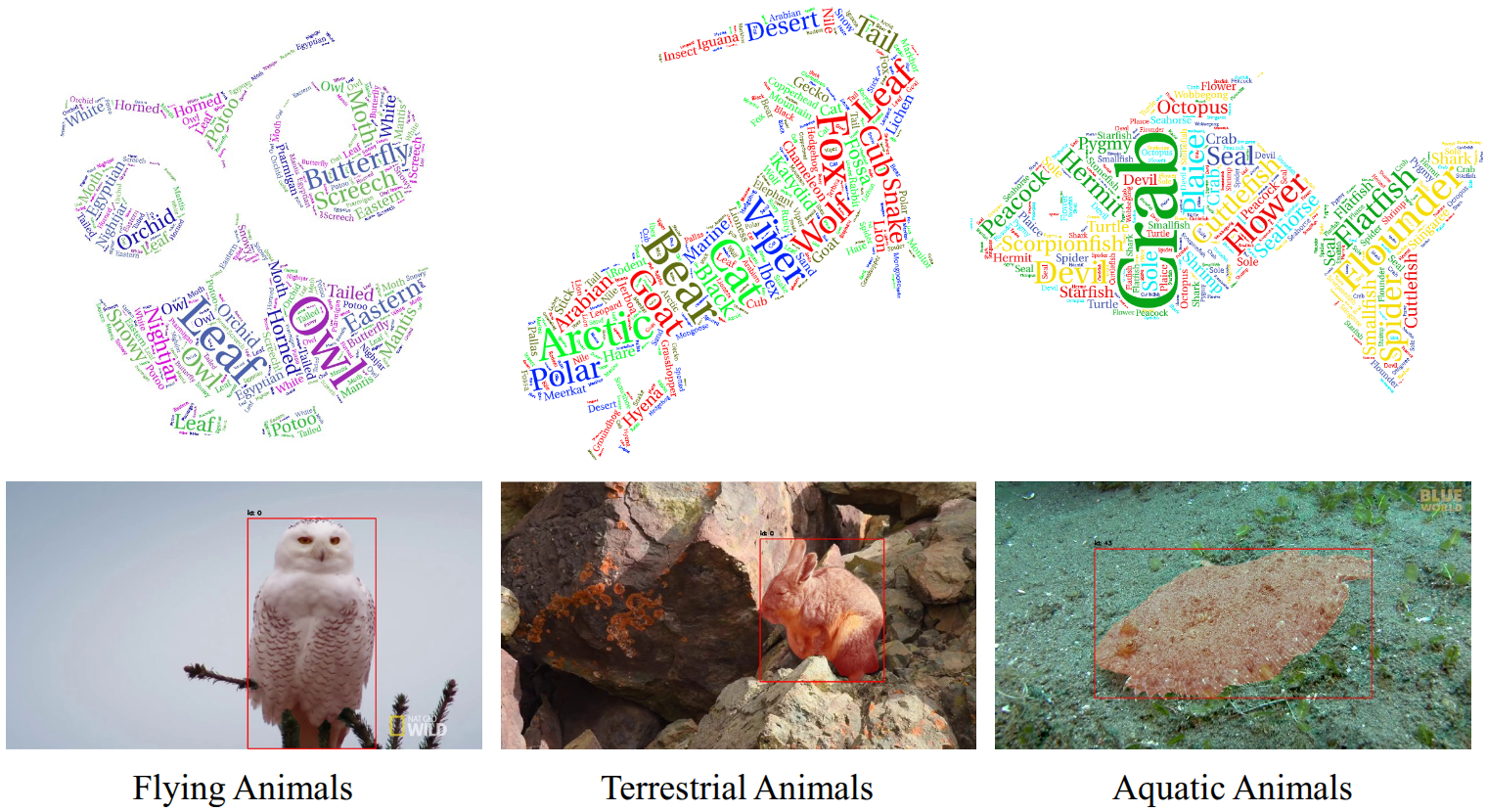 CamoVid60K thumbnail